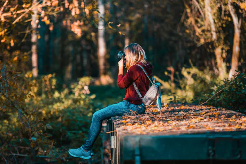 How autumn transforms nature and our perspective on life