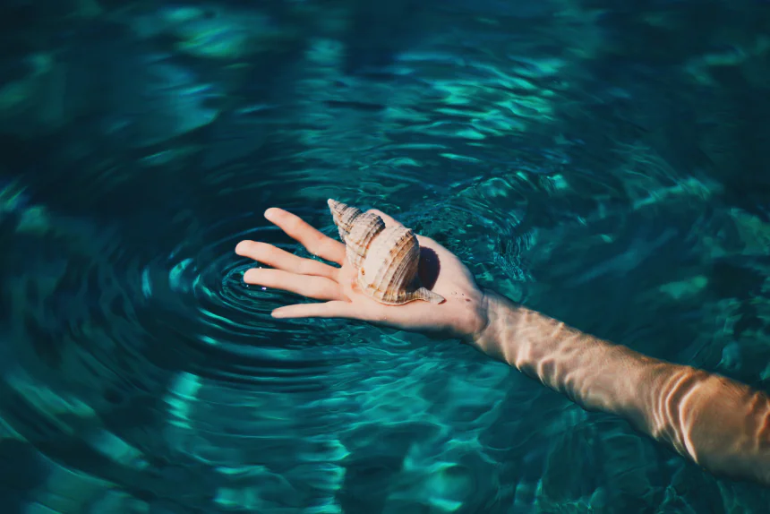 The Endless Allure of the Sea